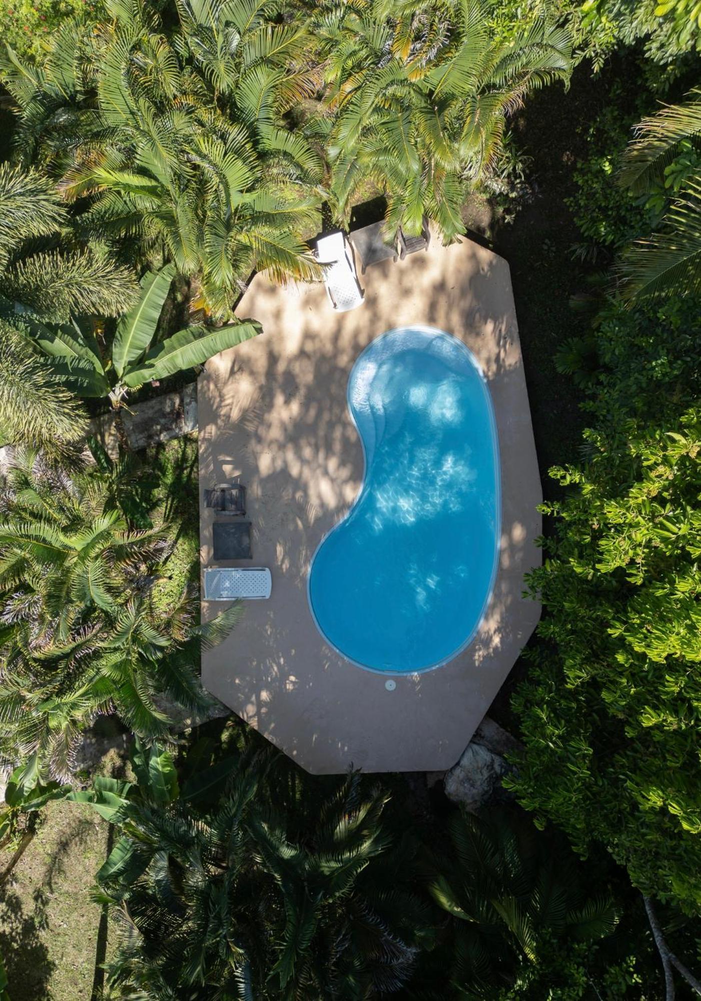 Sol Y Sombra Bed and Breakfast Μπόκας ντελ Τόρο Εξωτερικό φωτογραφία