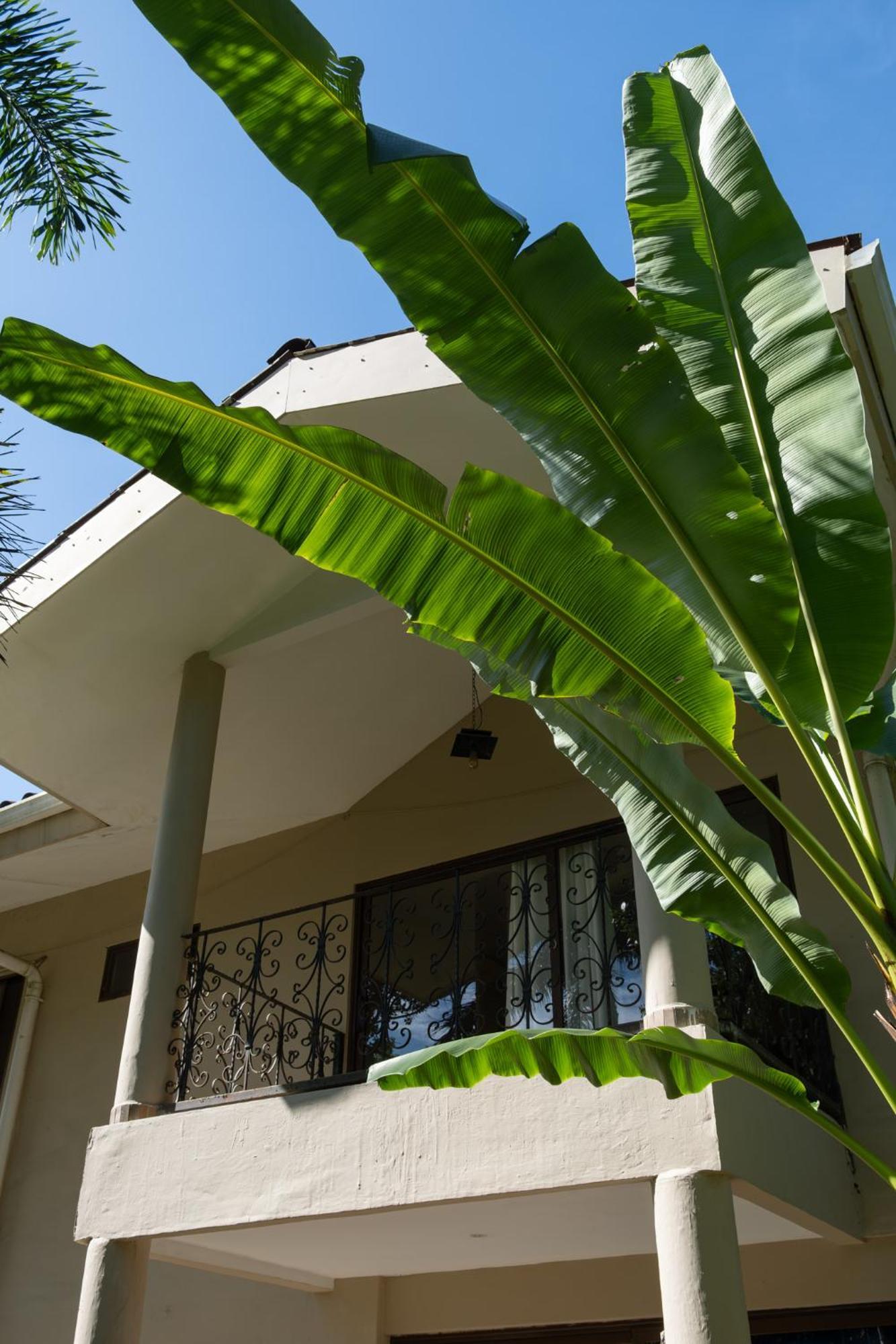 Sol Y Sombra Bed and Breakfast Μπόκας ντελ Τόρο Εξωτερικό φωτογραφία
